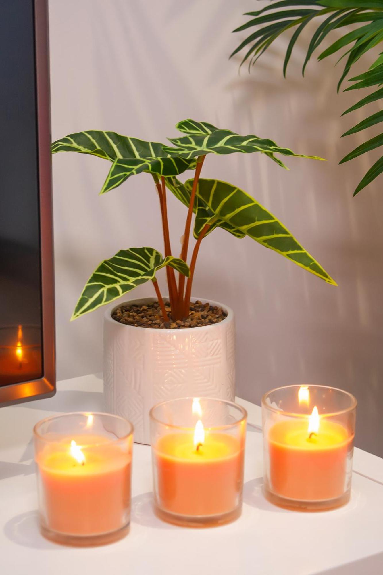 Batalha - Ferreiras Apartment 외부 사진
